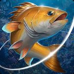 Fishing hook mod apk unlock aquarium